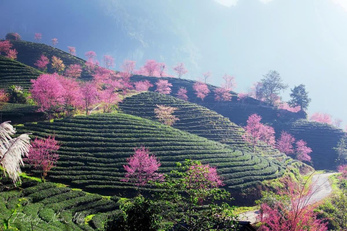Ha Giang Hotel Sapa Экстерьер фото