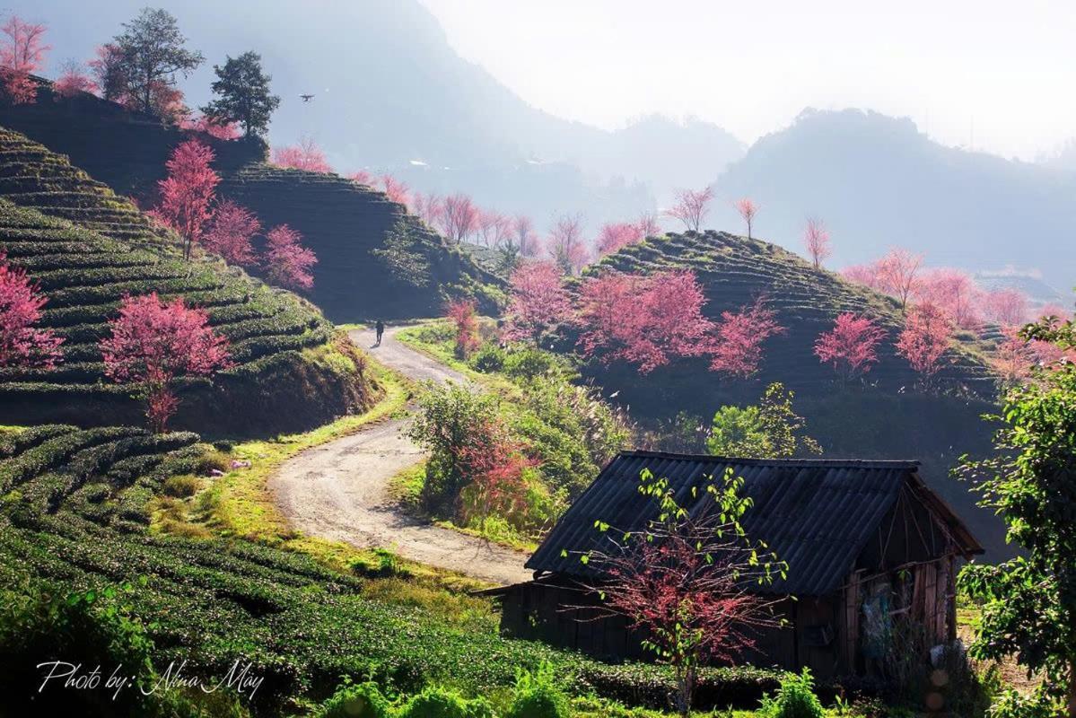 Ha Giang Hotel Sapa Экстерьер фото