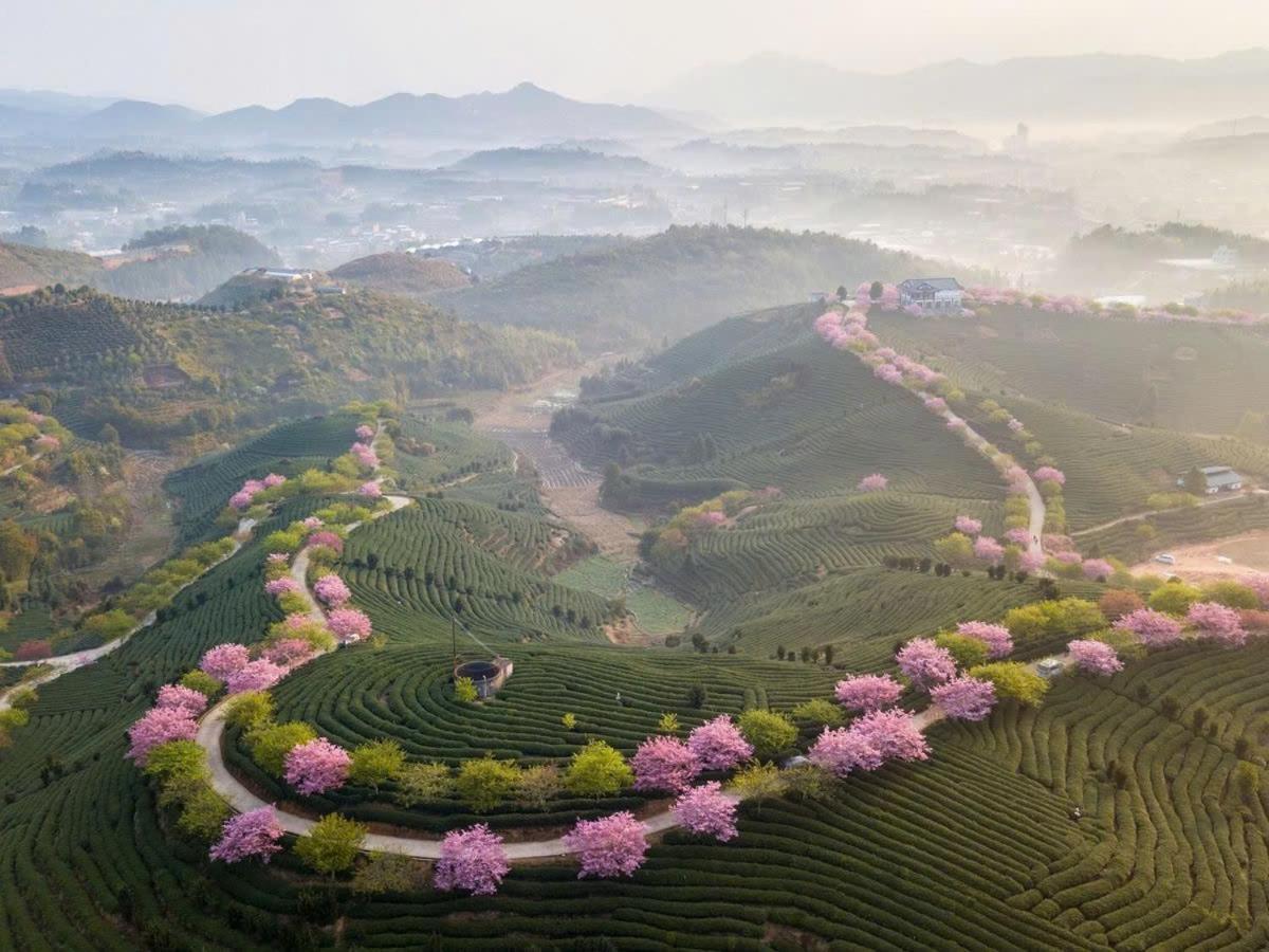 Ha Giang Hotel Sapa Экстерьер фото