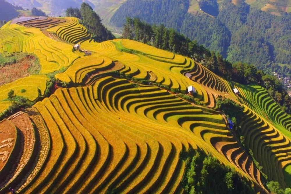 Ha Giang Hotel Sapa Экстерьер фото